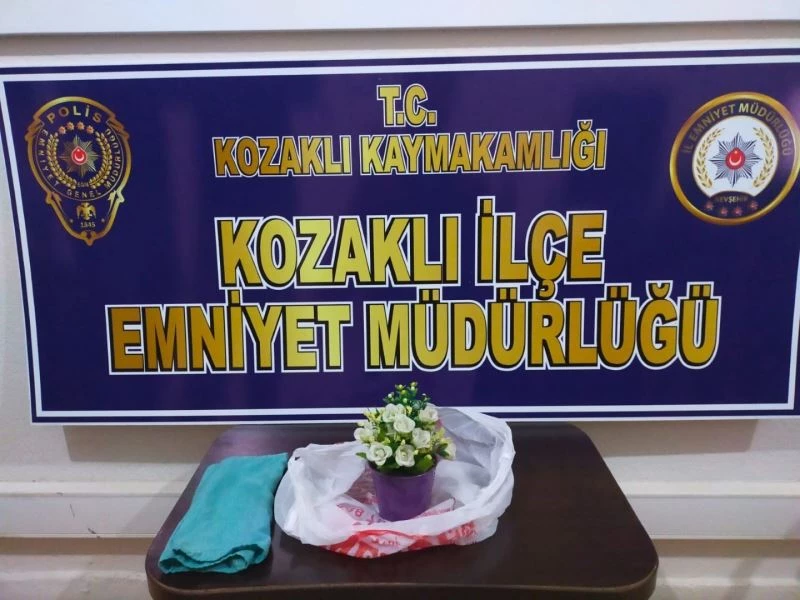 Saksıda uyuşturucu
