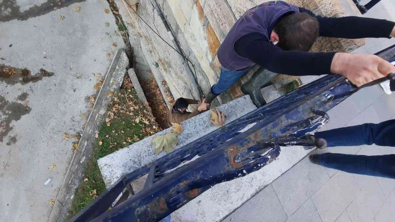 Güvercini kedilerden kurtarmak isterken derede mahsur kaldı
