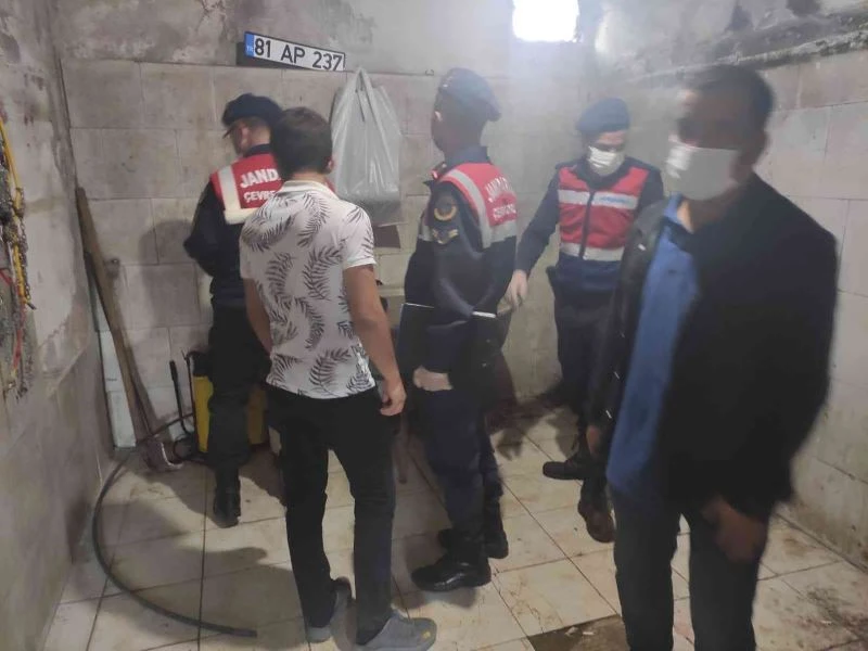 Tek tırnaklı hayvan kesen baba oğula suçüstü
