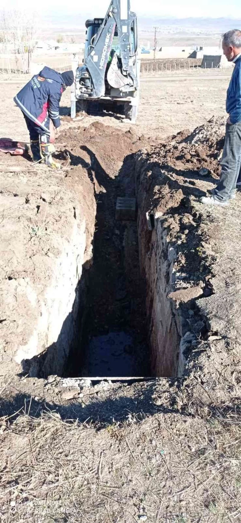 Fosseptik çukuruna düşen at kurtarıldı
