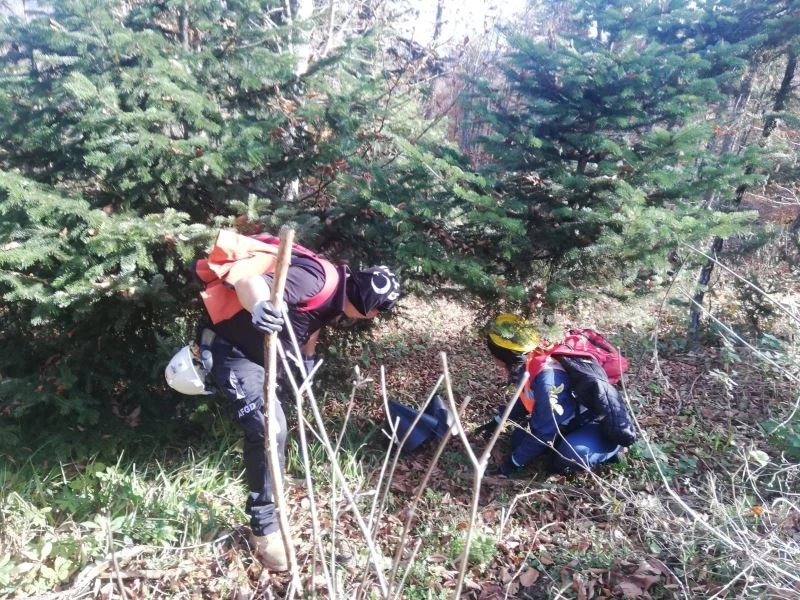 AFGD eğitimlere devam ediyor
