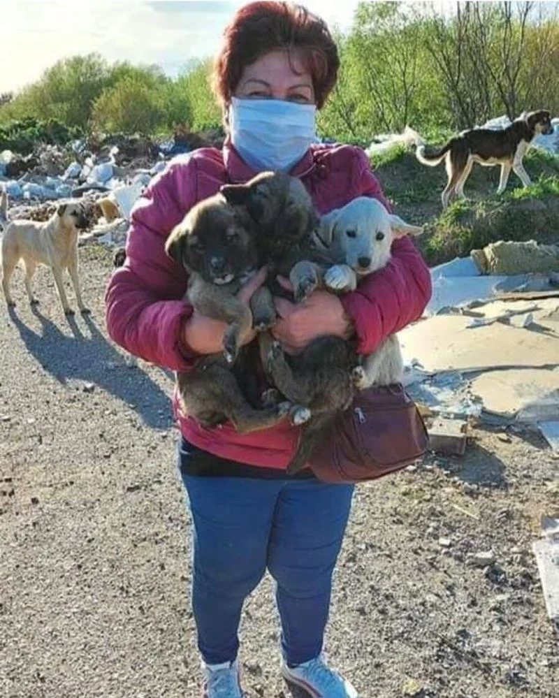 Edremit’te hayvan severler yasta
