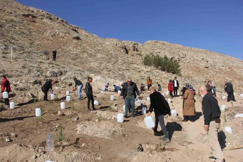 Sosyal medyada toplanıp 9 bin fidanı toprakla buluşturdular

