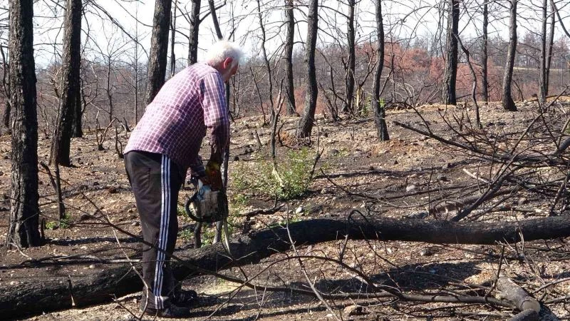 Manavgat’ta yanan ormanlık alanlar fidan dikimine hazırlanıyor
