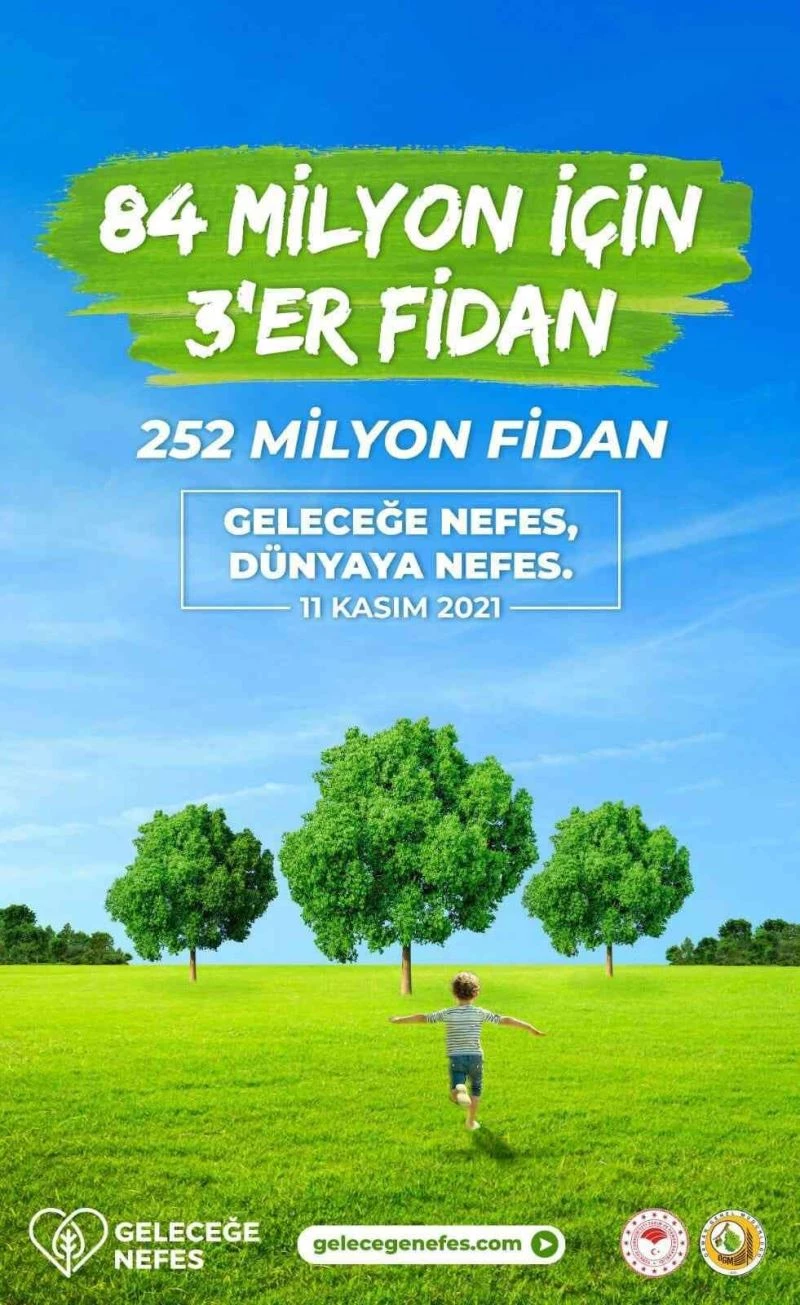Bingöl’de 70 dönüme 5 bin fidan dikilecek
