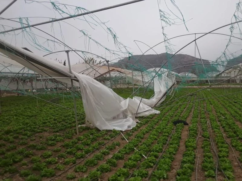 Şiddetli fırtınada seralar adeta yerle bir oldu
