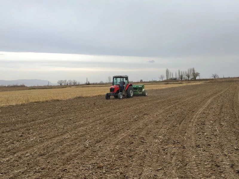 Yüzde 50 hibeli olarak 100 ton makarnalık buğday tohumluğu dağıtıldı
