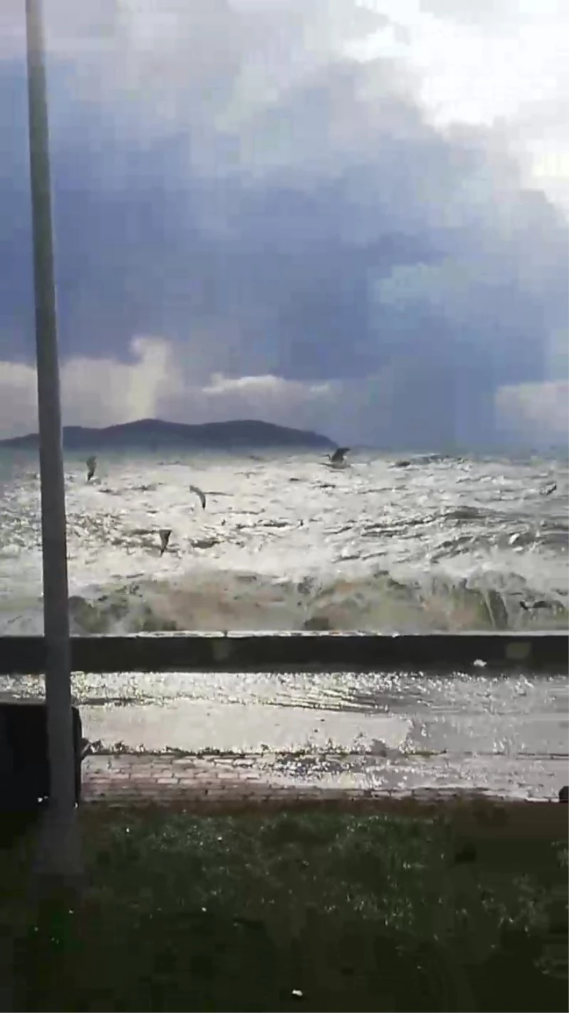 Caddebostan’da martıların lodosla imtihanı
