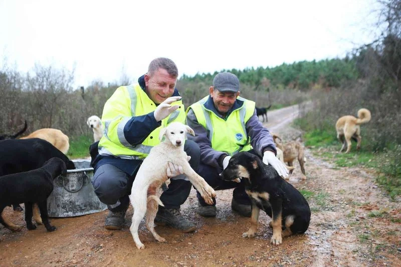 Okul tatil olunca yemekleri sokak hayvanlarına götürdüler
