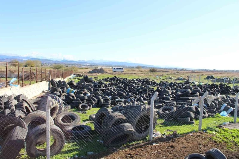 Kent genelinde vektörel mücadele
