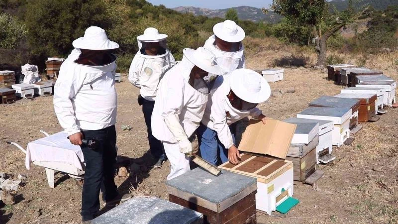 Bayraklı’da arıcılığa katkı sağlayacak kurs açıldı
