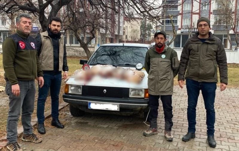 Projektörle tavşan avlayanlara 24 bin lira ceza
