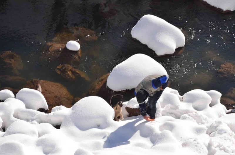Karla kaplı yaylada ölmek üzere olan köpeği Dicle Elektrik ekipleri ve gazeteciler kurtardı

