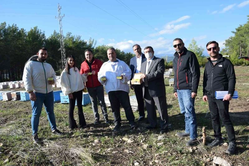 Van’daki selde 200 kovan arısı telef olan arıcının yüzü, bin 500 kilometre uzaklıkta güldü
