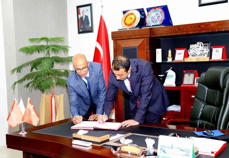 Bingöl’de kedi, köpek ve gelinciklerin takibi yapılacak
