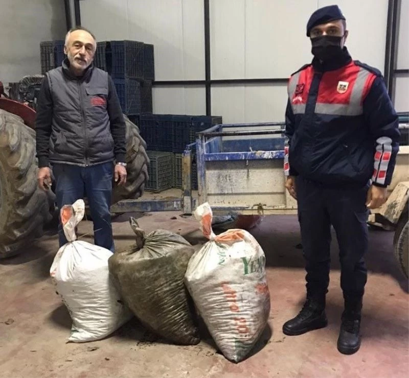 Topladıkları zeytinleri çuvala koyup kaçarken yakalandılar
