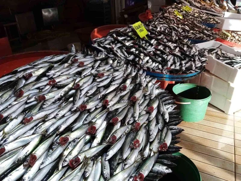 Lodos durdu tezgahlar balık doldu
