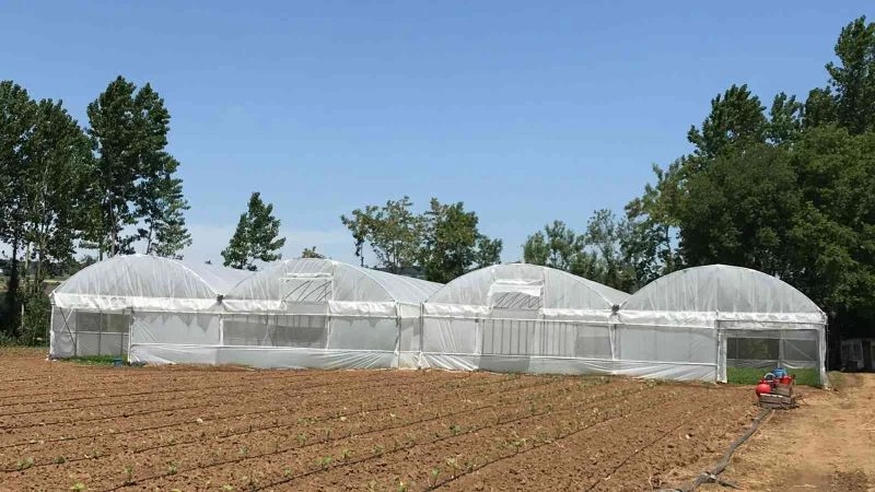 Çiftçilere yüzde 70 hibeli sera naylonu desteği
