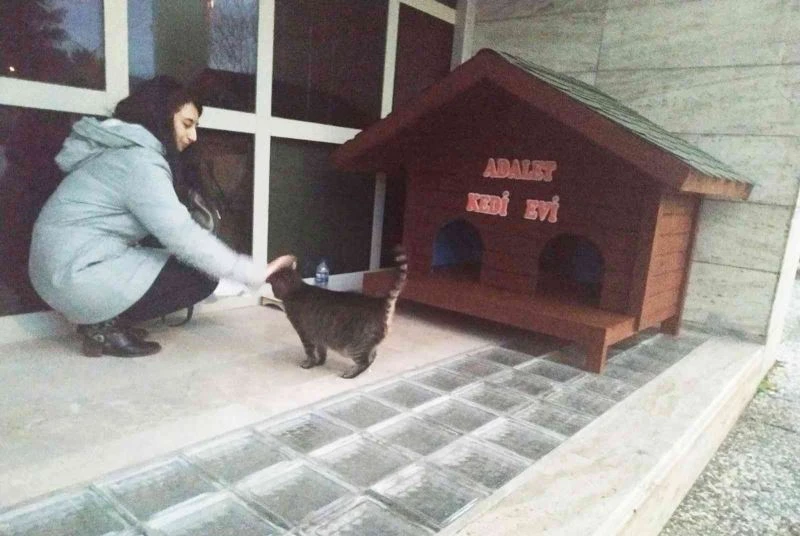 Kedi Adalet Muğla Adliyesinin maskotu oldu
