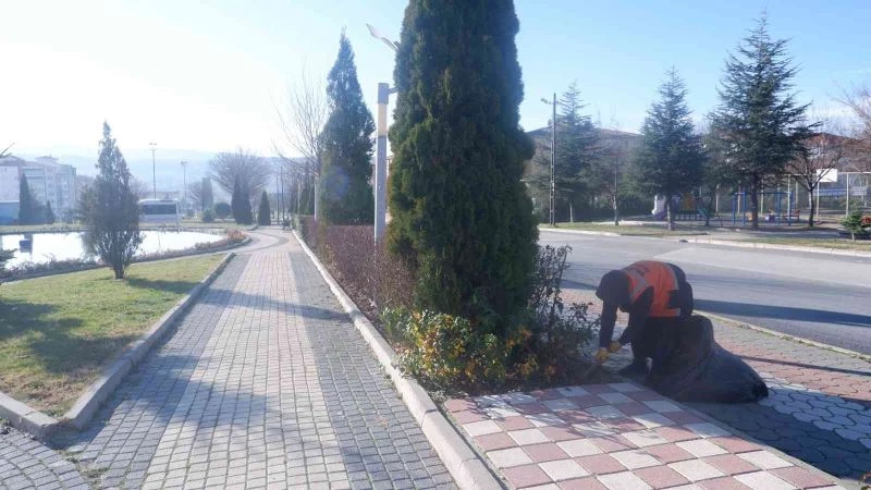 Bozüyük’te orta refüjlerdeki kış hazırlıkları sürüyor
