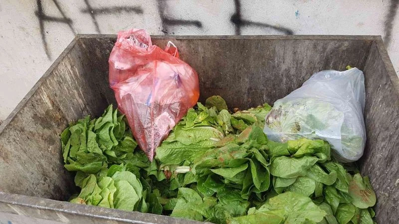 Taze marulları çöpe attı
