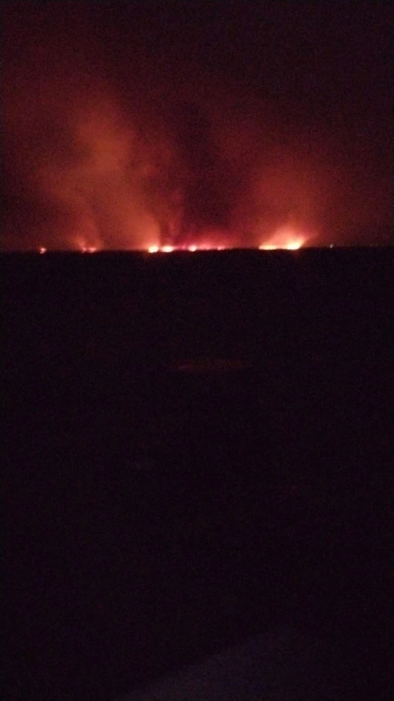 Sultan Sazlığı’nda yangın
