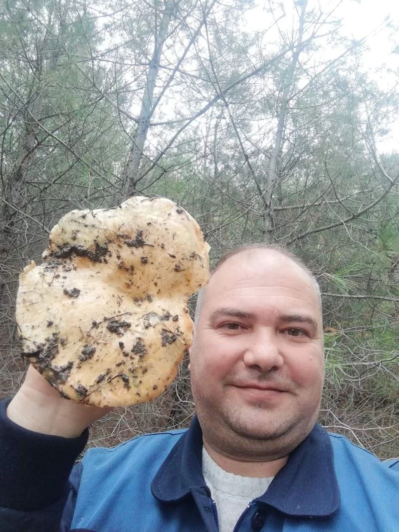 Burhaniye’de dev melki mantarı ilgi odağı oldu
