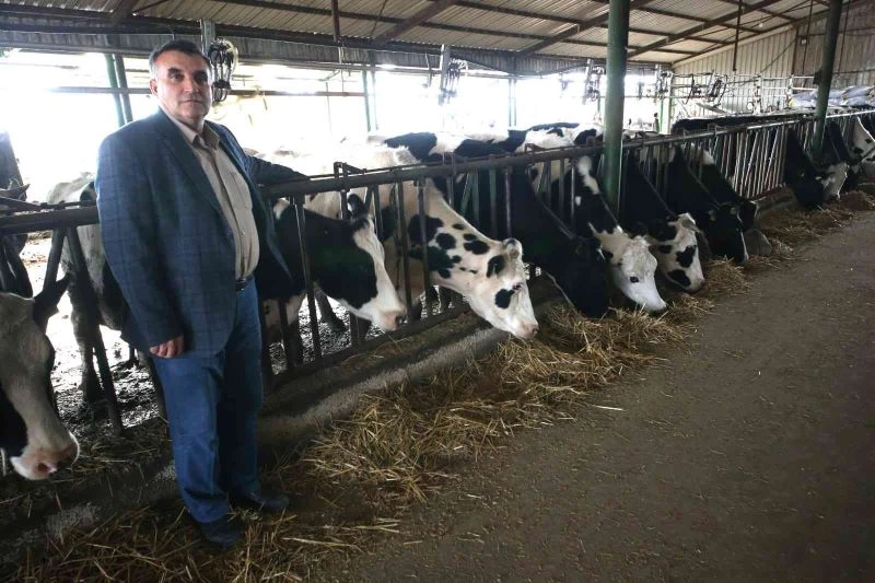 Üretici de, tüketici de süt fiyatlarına tepkili
