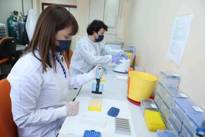 Varyant taramaları referans laboratuvarlarda devam ediyor
