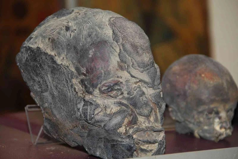 İzmir’de Jivaro yerlilerinin kesip özel işlemlerden geçirdiği insan kafatasları ele geçirildi
