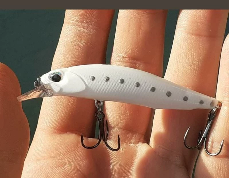 Oltaya balık değil martı takıldı
