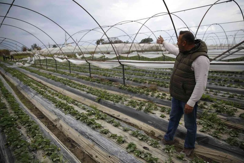 Büyükşehir’den afetzede çiftçilere 6 bin metrekare sera naylonu
