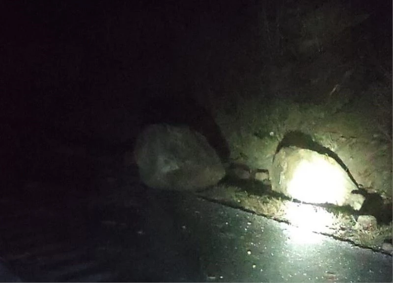 Kamyon yola düşen kaya parçasına çarptı, sürücü ölümden döndü
