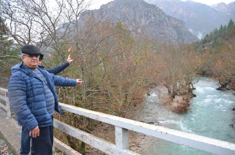 Antalya’da yazın kuruyan ırmak, yağışlar sonrası adeta coştu
