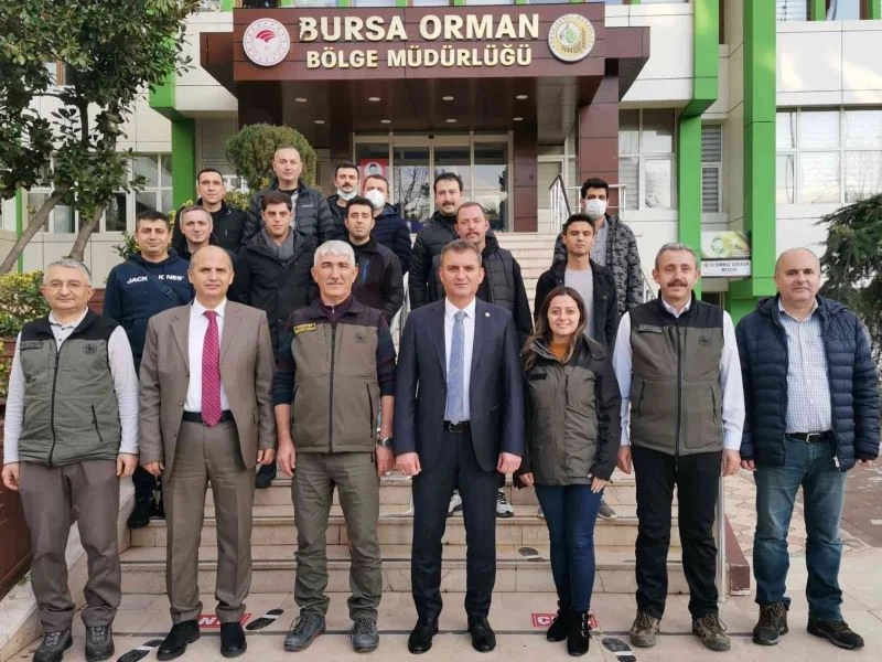Bursa’da defne üretimine yakın markaj
