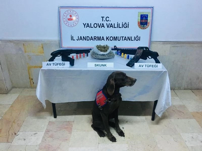 ’’Venüs’’ tespit etti, 847 gram uyuşturucu ele geçirildi
