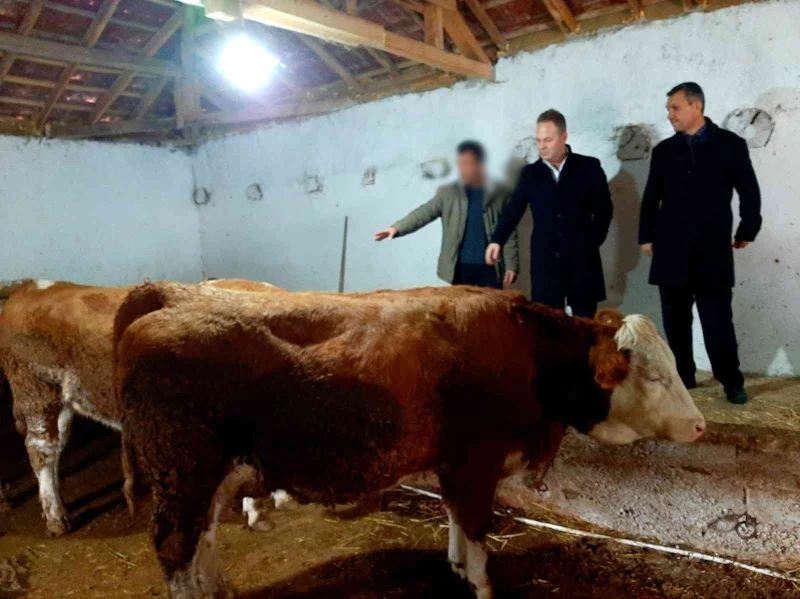 Devlet desteğiyle hayvancılığa başladı, hayatında yeni bir sayfa açtı
