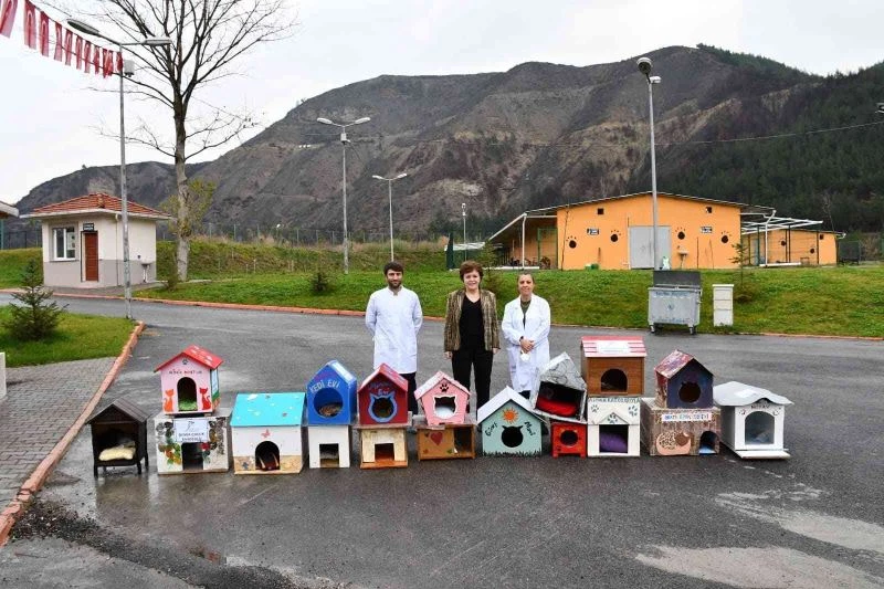 Minik eller sayesinde patili dostlar sıcak yuvalara kavuşacak
