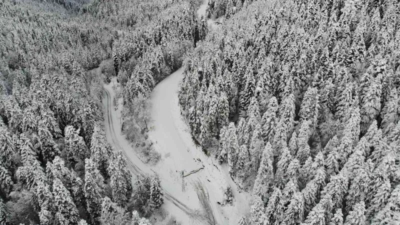 Yedigöller Milli Parkı yolu ulaşıma kapatıldı
