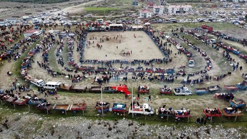 Pehlivan develer kozlarını Buharkent’te paylaştı
