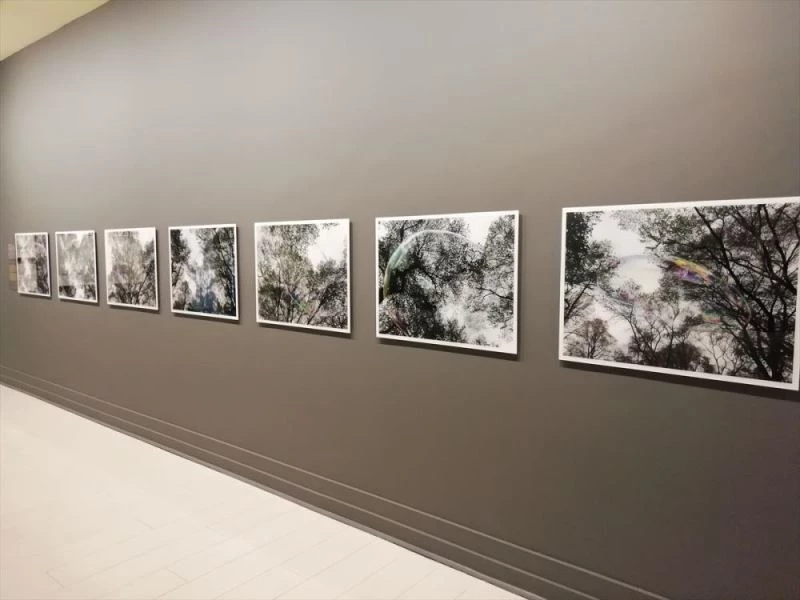 Gündüz Düşleri sergisi Antalya