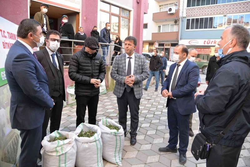 Türkeli’de salep fidesi ve yonca tohumu dağıtıldı
