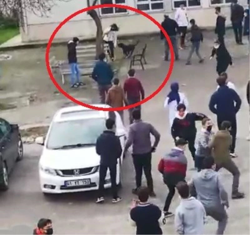 Okula dalan pitbull öğrencilere dehşeti yaşattı
