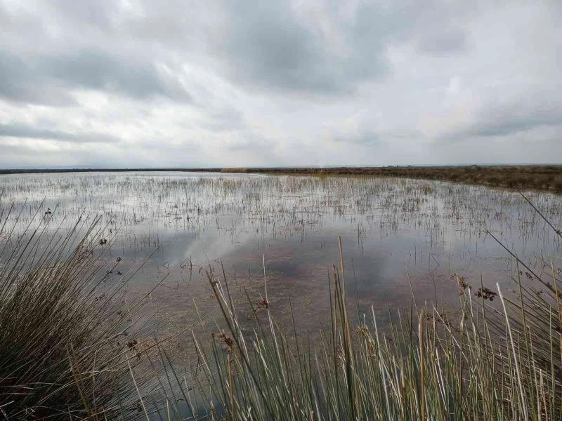 Vali Dağlı: “Su potansiyelimizi etkili ve verimli kullanmalıyız