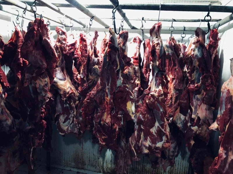 Baba oğul yine tek tırnaklı hayvan eti keserken yakalandı
