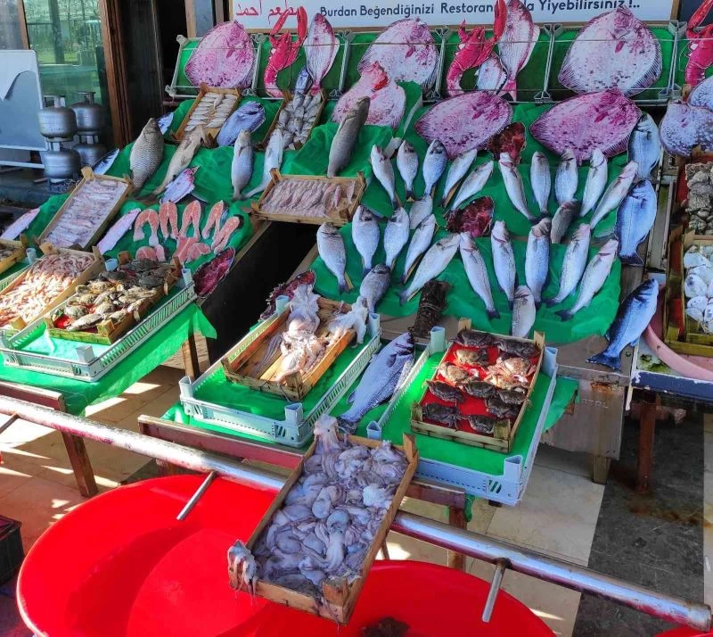 Lodos balık tezgahlarını da etkiledi
