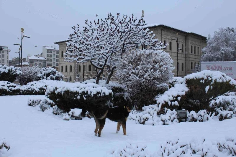 Sivas’ta 234 köy yolu araç ulaşımına kapandı

