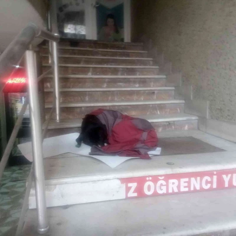 Afyonkarahisar’da görenlerin için ısıtan görüntü
