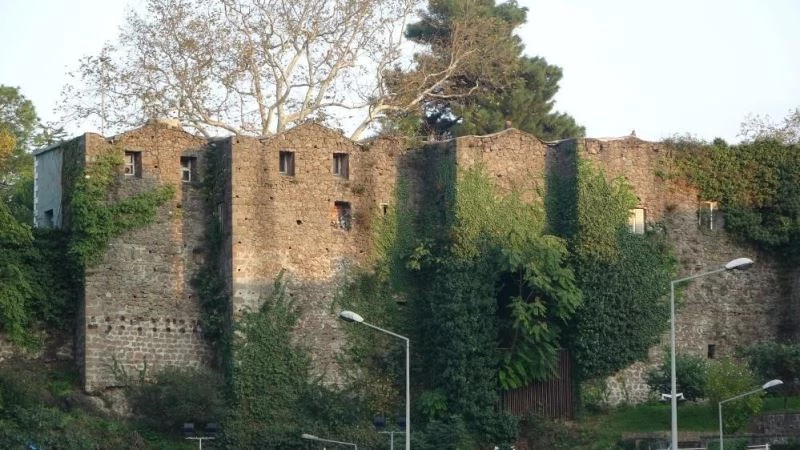 Dedelerinden kalan kalenin kendilerine devrini isteyecekler
