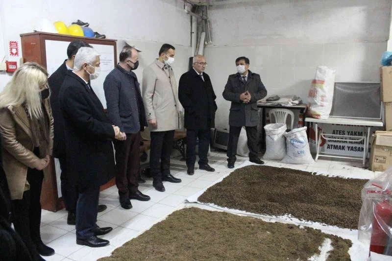 Ağaç yapraklarından pelet üretiliyor
